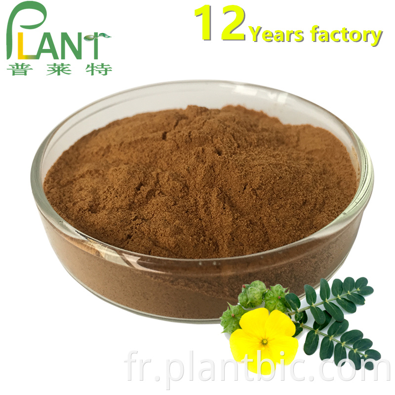 Tribulus Terrestris Extract Powder